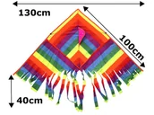Zabawki i gry sportowe - Latawiec Onedollar - miniaturka - grafika 1
