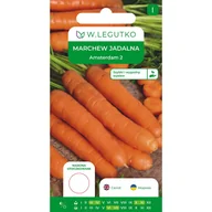 Nasiona i cebule - Marchew jadalna Amsterdam 2 nasiona W.Legutko - miniaturka - grafika 1