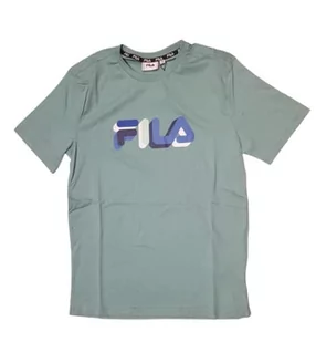 FILA Męski t-shirt BLUNK Regular Graphic (Beryl Green), L, zielony (Beryl Green), L - Koszulki męskie - miniaturka - grafika 1