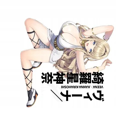 Plakat Anime Dolphin Wave DELPHW_055 A2 (custom)