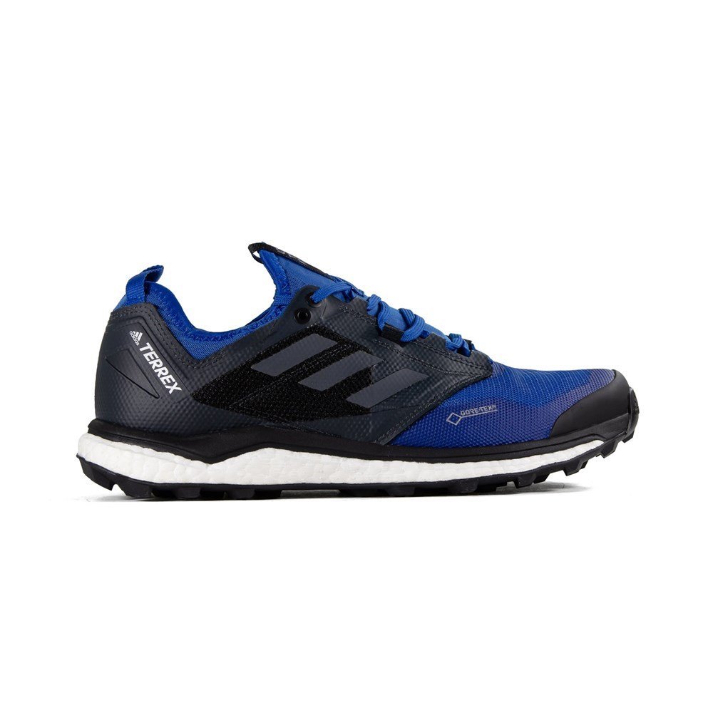 Buty do biegania Adidas TERREX Agravic XT GTX