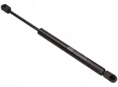 Akcesoria do bagażników dachowych - MAGNETI MARELLI Sprężyna gazowa, tylna szyba 430719035200 - miniaturka - grafika 1