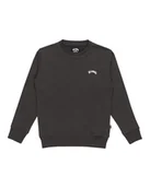 Bluzy dla chłopców - BILLABONG Bluza chłopięca Arch Cr Lt (1 szt.) - miniaturka - grafika 1