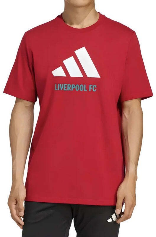 Koszulka adidas Liverpool FC Seasonal DNA Graphic Tee 2 JY3466