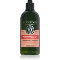 Szampony do włosów - LOccitane Aromachologie Szampon dla włosów suchych i zniszczonych 300 ml - miniaturka - grafika 1