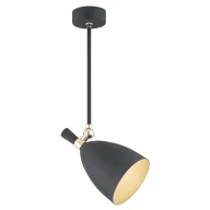 Oprawy, klosze i abażury - Czarna lampa sufitowa Charlotte z eleganckimi złotymi akcentami - miniaturka - grafika 1