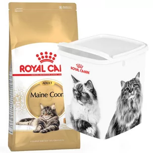 Royal Canin Maine Coon 10 kg - Sucha karma dla kotów - miniaturka - grafika 1