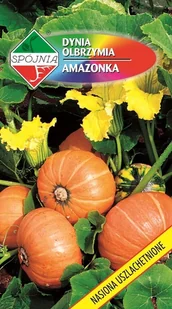 NASIONA Dynia Olbrzymia Amazonka 5g SPÓJNIA 332834 - Nasiona i cebule - miniaturka - grafika 1