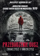 Horror DVD - Kino Świat Przebudzenie dusz - miniaturka - grafika 1