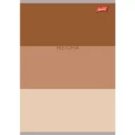 Zeszyty szkolne - Unipap zeszyt okładka laminowana A5, 60 kartek, krata, historia ze ściągą COLOR STRIPES - miniaturka - grafika 1