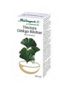 Herbapol KRAKÓW Tinctura ginkgo biloba 100 g Kraków