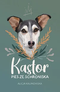 NOWA BAŚŃ Kastor. Pies ze schroniska - Alicja Kalinowska - Baśnie, bajki, legendy - miniaturka - grafika 1