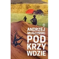 Powieści - Literackie Podkrzywdzie - Andrzej Muszyński - miniaturka - grafika 1