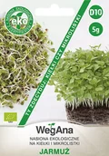 Nasiona i cebule - Jarmuż na kiełki i mikrolistki 5g nasiona - WegAna - miniaturka - grafika 1