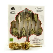 Herbata - DARY NATURY - herbatki BIO HERBATKA NA PATYKU ROZGRZEWAJĄCA BIO (8 x 2,5 g) - DARY NATURY BP-5903246862409 - miniaturka - grafika 1