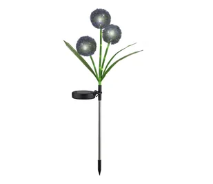 LED Oświetlenie solarne ALLIUM LED/1,2V 6500K 600 mAh IP44 czarne - Lampy ogrodowe - miniaturka - grafika 1