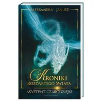 Asystent czarodziejki. Kroniki Rozdartego Świata. Tom 1 - Fantasy - miniaturka - grafika 1