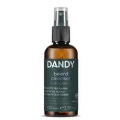 Kosmetyki i akcesoria do pielęgnacji brody - Dandy Beard, spray oczyszczający do dezynfekcji brody, 100ml - miniaturka - grafika 1