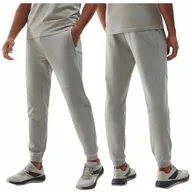 Dresy męskie - SPODNIE dresowe męskie 4F TRENINGOWE joggery sportowe 4F szare TTROM645 3XL - miniaturka - grafika 1