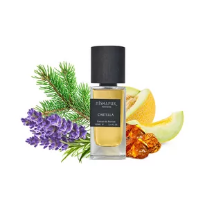 Nishapur, Cartella, woda perfumowana, 100 ml - Wody i perfumy męskie - miniaturka - grafika 1