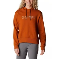 Odzież trekkingowa damska - Bluza turystyczna damska Columbia Lodge Hoodie z kapturem - miniaturka - grafika 1