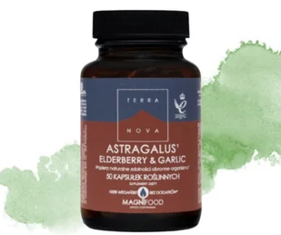 ASTRAGALUS, ELDERBERRY & GARLIC (traganek, czarny bez, czosnek) 100 kapsułek TERRANOVA - Suplementy naturalne - miniaturka - grafika 1