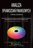 Ekonomia - Analiza sprawozdań finansowych - wybrane zagadnienia - miniaturka - grafika 1