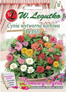 Legutko Cynia wytworna karłowa PEPITO - Nasiona i cebule - miniaturka - grafika 1
