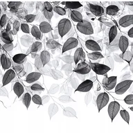 Fototapety - FOTOTAPETA LIŚCIE CZARNO BIAŁY WISZĄCE NA ŚCIANĘ SYPIALNIA SALON 300x210 - miniaturka - grafika 1