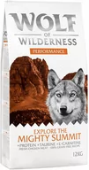 Sucha karma dla psów - Wolf of Wilderness ""Explore The Mighty Summit"" - Performance - miniaturka - grafika 1