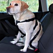 Sprzęt podróżny i transportery dla psów - Trixie : Pas bezpieczeństwa dla psów - Rozm. S: obwód 30 - 60 cm - miniaturka - grafika 1