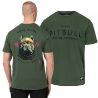Odzież taktyczna i umundurowanie - PITBULL KOSZULKA Light Weight 170 Basic MT. Fugi '25 - Sage Green - miniaturka - grafika 1