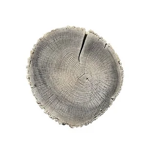 Płyta dekoracyjna Pień 38-45 cm biały - Kostki brukowe i krawężniki - miniaturka - grafika 1