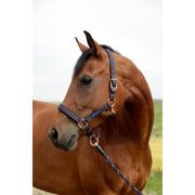Kantary dla koni - Can-agri Can-Agri Kantar Goleygo z Adapterem niebiesko-karmelowy roz.4 3221387 - miniaturka - grafika 1