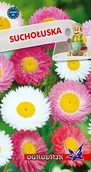 Nasiona i cebule - Suchołuska ogrodowa mieszanka 1g / O / - miniaturka - grafika 1
