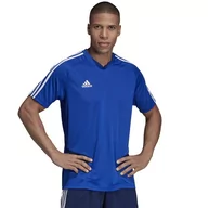 Koszulki męskie - adidas TIRO19 TR JSY T-shirt, męski T-shirt, bold blue/dark blue/White, L - miniaturka - grafika 1