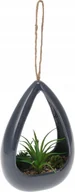 Sztuczne kwiaty - Sztuczna roślina wisząca sukulent 12 x 18 cm - miniaturka - grafika 1