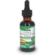 Układ nerwowy - Natures Answer American Ginseng Extract - Ekstrakt z żeń-szenia amerykańskiego Suplement diety 30 ml - miniaturka - grafika 1