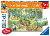 Pozostałe książki - Ravensburger Kinderpuzzle - 05673 Tiere im Wald und auf der Wiese - 2x12 Teile + Wissensposter, Wieso? Weshalb? Warum? Puzzle für Kinder ab 3 Jahren - miniaturka - grafika 1