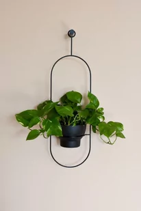 KWIETNIK ŚCIENNY TALO - Kwietniki KWIETNIK ŚCIENNY TALO - Kwietniki - miniaturka - grafika 1