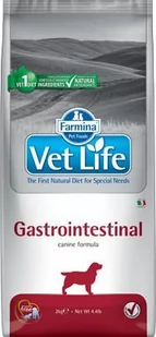 Farmina Vet Life Gastrointestinal 2 kg - Sucha karma dla psów - miniaturka - grafika 2