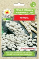 Nasiona i cebule - Fasola wielkokwiatowa karłowa RIPOSTA (na suche nasiona) Phaseolus coccineus L. - miniaturka - grafika 1