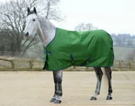 Derki dla konia - BUCAS Derka stajenna FREEDOM STABLE 150g - emerald green - miniaturka - grafika 1