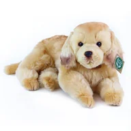 Maskotki i pluszaki - Maskotka EKO Realistyczny GOLDEN RETRIVER Puszysty - miniaturka - grafika 1