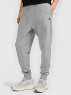 Spodnie męskie - Męskie spodnie dresowe 4F 4FRMM00TTROM1624-27M Szary 3XL - miniaturka - grafika 1