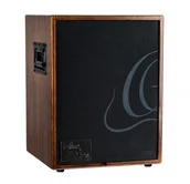 Wzmacniacze gitarowe - Ortega Ortega CONE Walnut Design wzmacniacz do gitary akustycznej, combo 100W - miniaturka - grafika 1