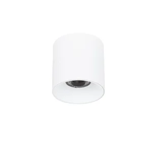 Lampa natynkowa Altisma 6677 95 wh 4k LED biały - Oprawy, klosze i abażury - miniaturka - grafika 1