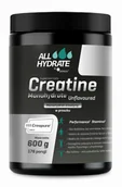 Kreatyna - ALLHydrate, Creatine (Creapure®), proszek 600 g - miniaturka - grafika 1
