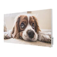 Ogrzewanie przenośne - TERMOFOL Grzejnik na podczerwień z grafiką Piesek TF-SWT1000P - miniaturka - grafika 1