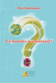 Matematyka - Co mieszka w sześcianie$724 Piotr Pawlikowski - miniaturka - grafika 1